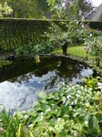 FZ008022 Pond at campsite.jpg